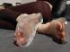 Mes magnifiques pieds pour séance de fétichisme