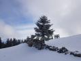 Randonnée au Mont-Tendre - dimanche 10 avril