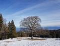 Randonnée au Mont-Tendre - dimanche 10 avril