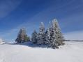 Randonnée au Mont-Tendre - dimanche 10 avril