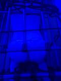 TOP Escorte! Sensations XXX Sexe chaud Gothic Girl - Domina SM