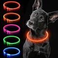 iTayga Collier Chien Lumineux LED