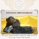 Magnifiques bébés rats dumbos