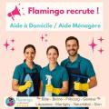 Aide à domicile, ménage, accompagnement et autres prestations