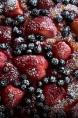 tartes aux fruits fait maison 